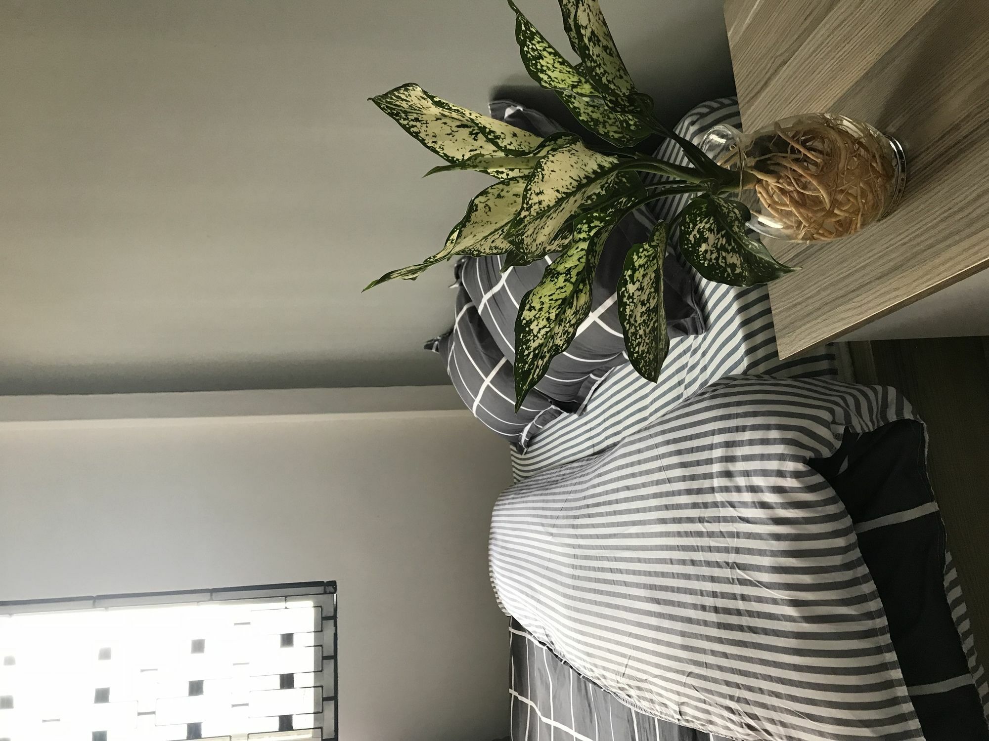 Meowies Homestay Πόλη Χο Τσι Μινχ Εξωτερικό φωτογραφία